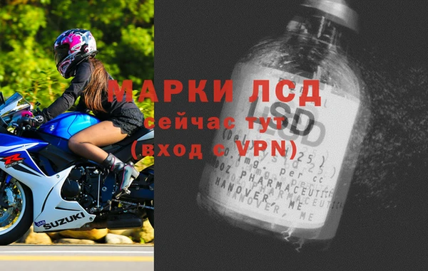 прущие грибы Алексеевка