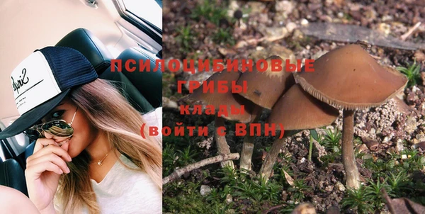 прущие грибы Алексеевка