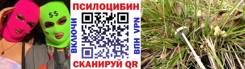 Псилоцибиновые грибы MAGIC MUSHROOMS  Томмот 